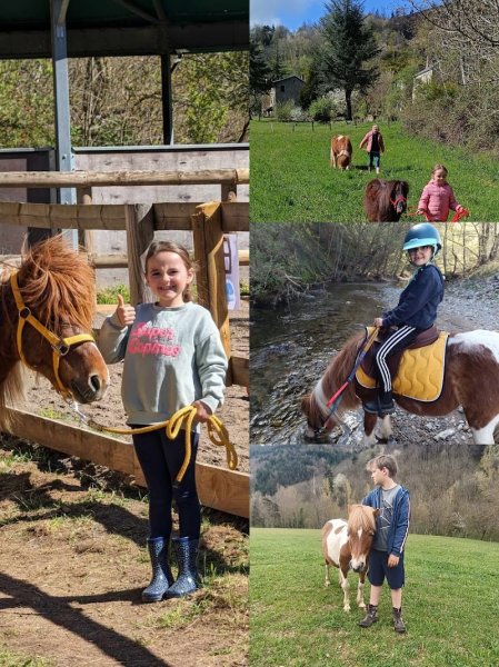 Centre équestre La Vialle - photo 3