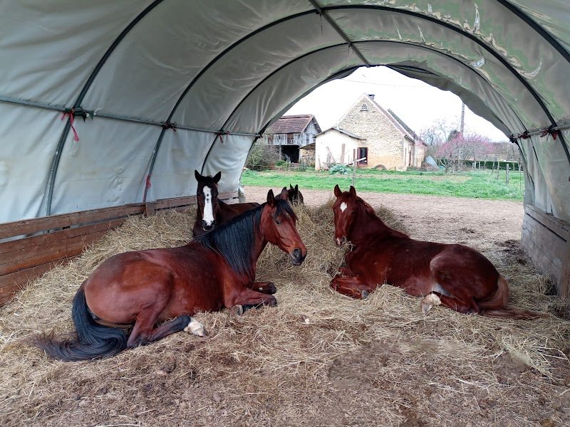 Écurie de propriétaires - Les Lavaudes - photo 2
