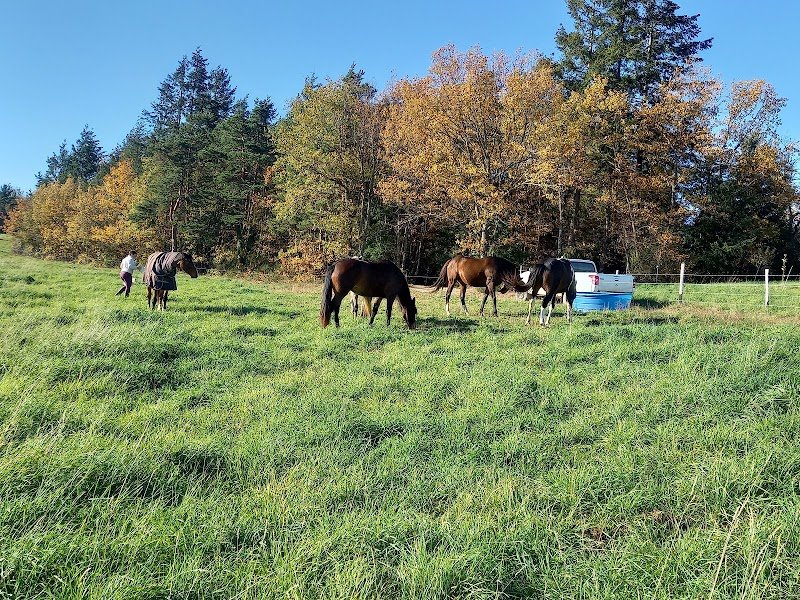 Ecurie de la Vizade - photo 1
