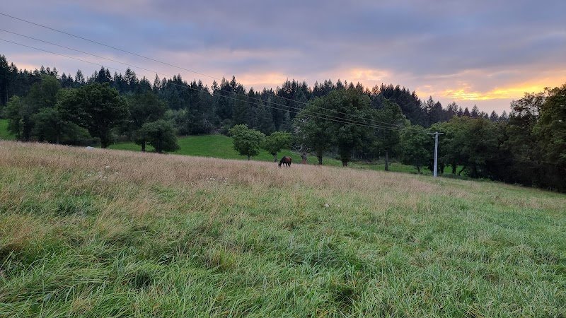 Ecurie de la Vizade - photo 3