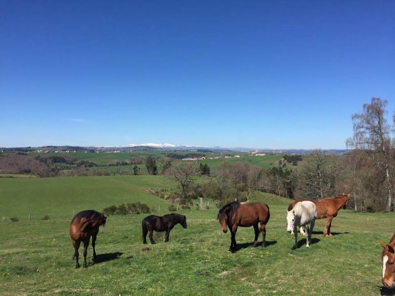 Ecuries du Préfontaine - photo 1