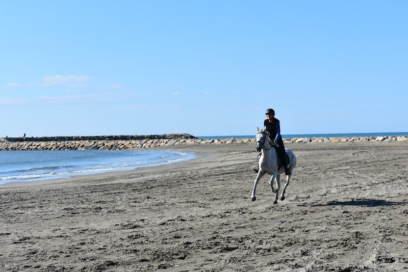 L’Ecurie du Planu à Longessaigne - photo 2