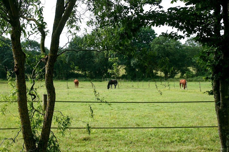 Ecurie Le Champ Chevalier - photo 1