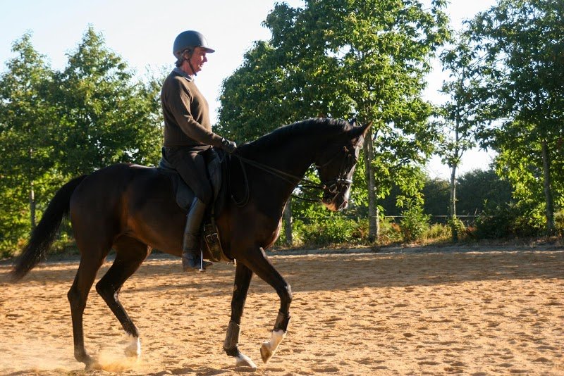 Ecurie Le Champ Chevalier - photo 2