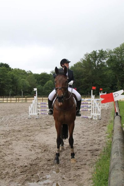 Écuries Karine roux 87 - photo 2