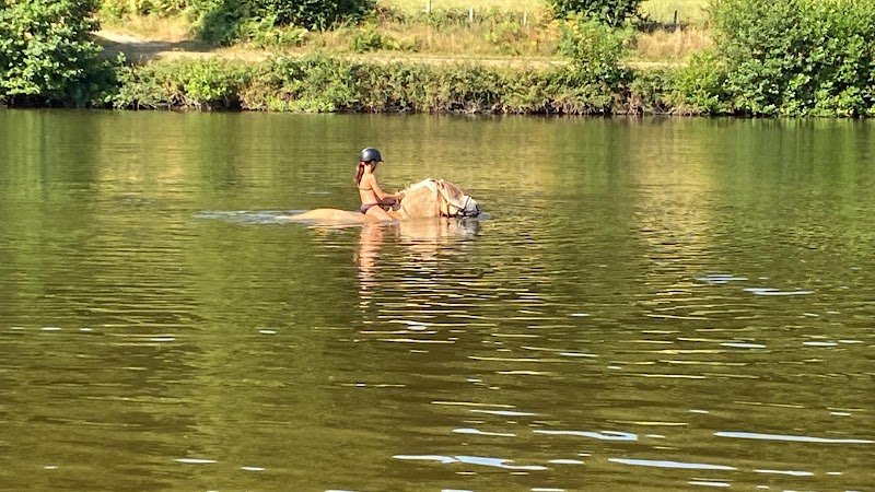 Ferme équestre Au Paradis des Chevaux - photo 2