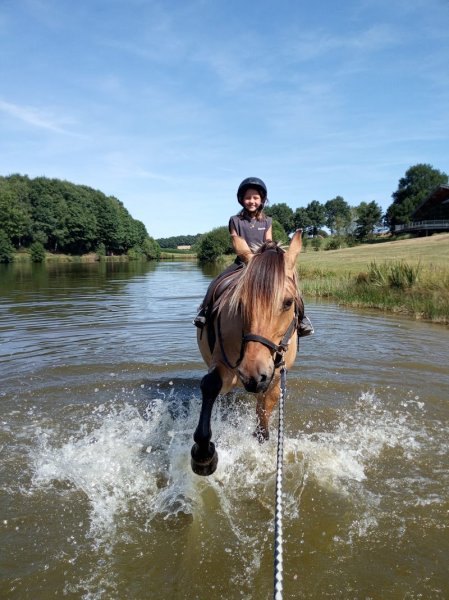 Ferme équestre Au Paradis des Chevaux - photo 3