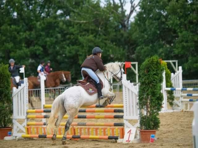 Ecole Départ. d'Equitation - Poney Club
