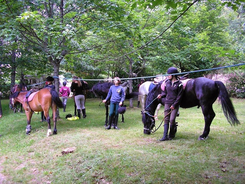 Ecole Départ. d'Equitation - Poney Club - photo 3