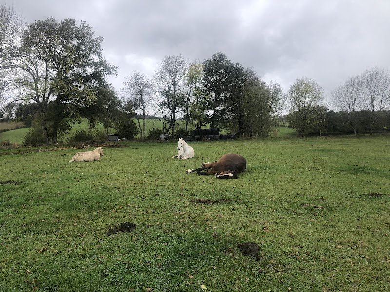 Gaec Thérond Villaret - Les Ecuries de Corail - photo 2