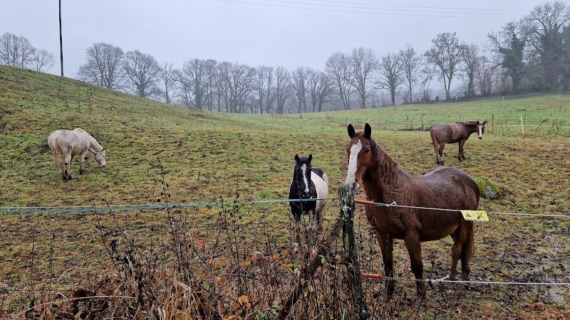 SCEA Ferme Equestre Cheval Decouverte - photo 1
