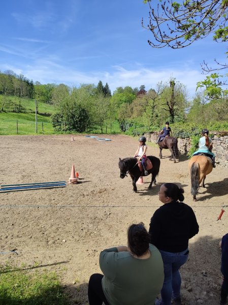 SCEA Ferme Equestre Cheval Decouverte - photo 2