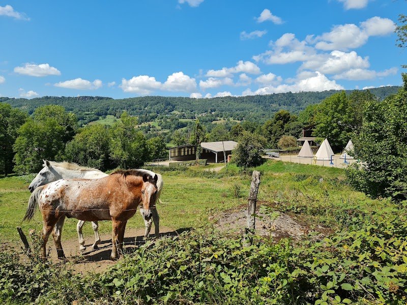 SCEA Ferme Equestre Cheval Decouverte - photo 3