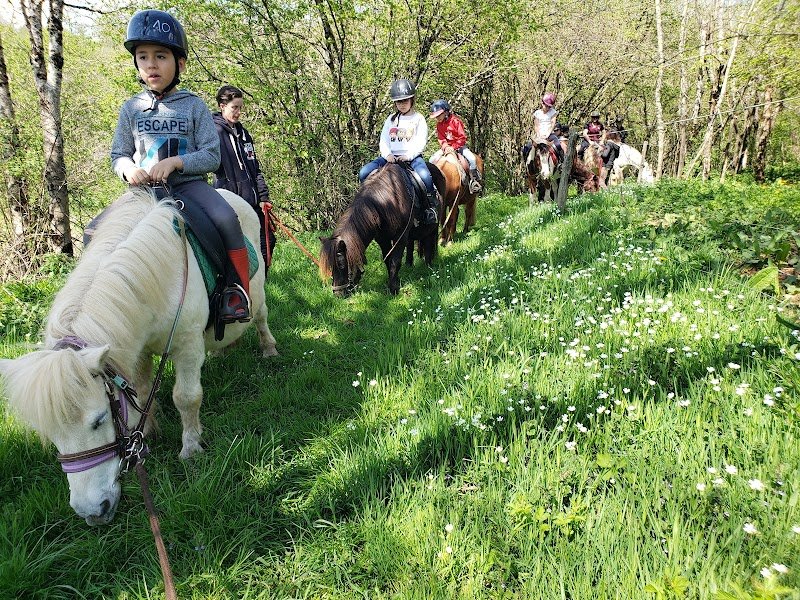 Les Écuries du Pont d'Auze - Pays de Salers Cantal - photo 3