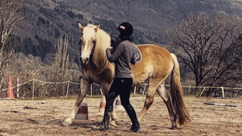 Équigogie - Les écuries de Pépanie