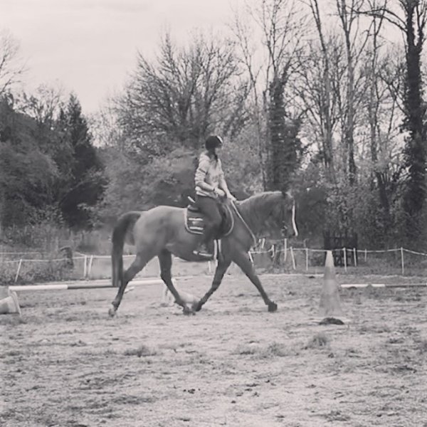 Équigogie - Les écuries de Pépanie - photo 2