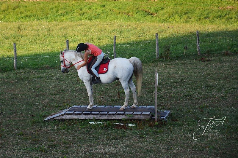 Les ecuries de Kashi