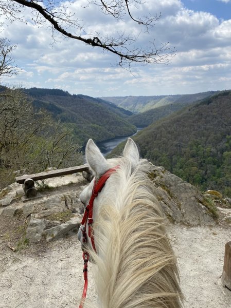 Les ecuries de Kashi - photo 2