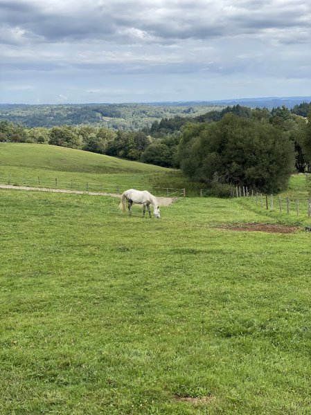 Les ecuries de Kashi - photo 3