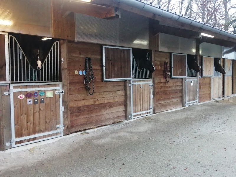 haras du peyroux - photo 2