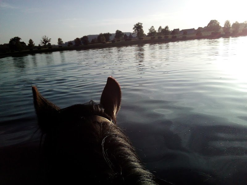 Les Cavaliers de l'étang