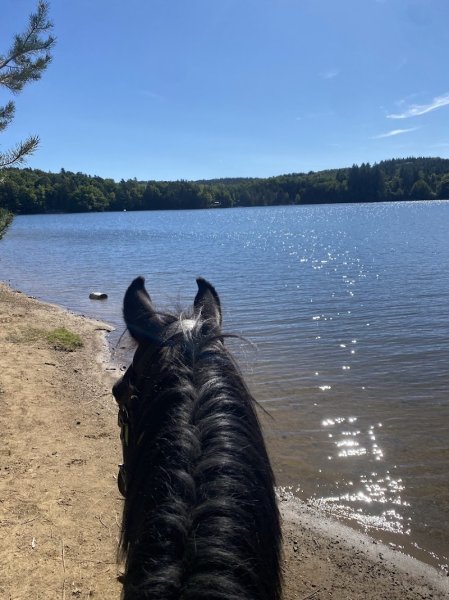 Écurie du Pradeaux depuis décembre 2024