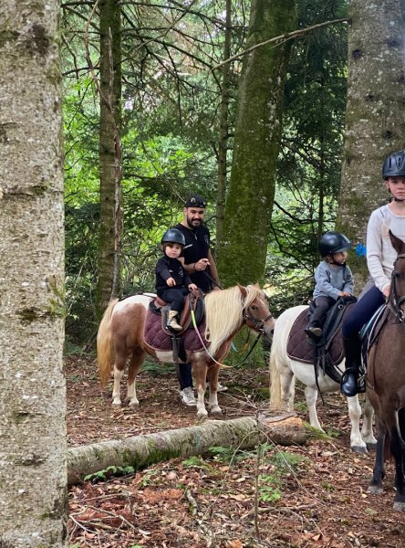 Écurie du Pradeaux depuis décembre 2024 - photo 2