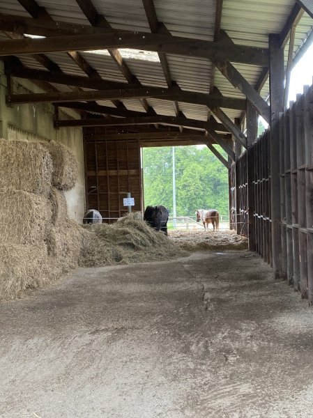 Écurie du Pradeaux depuis décembre 2024 - photo 3