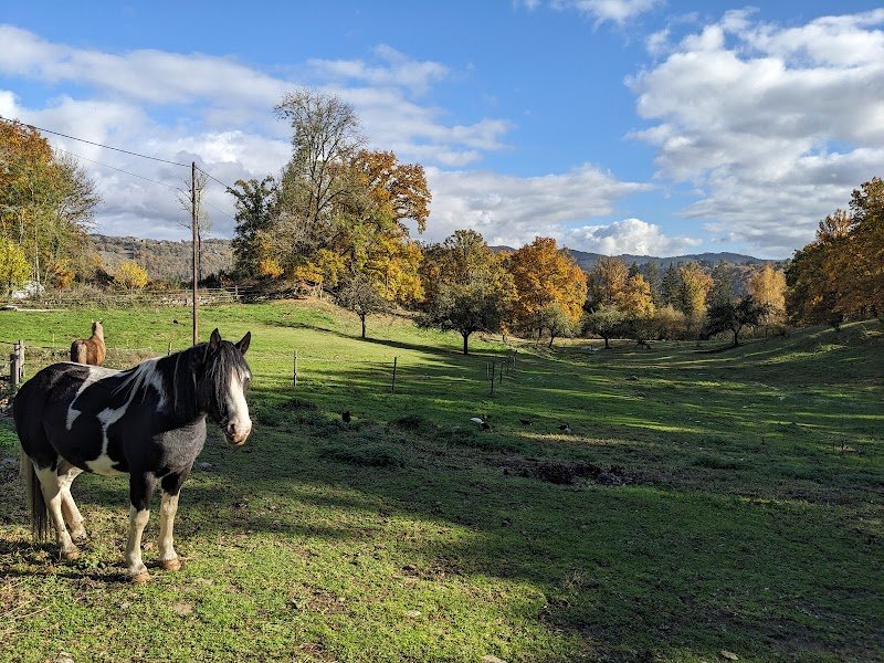 Ferme équestre et relais pour cavalier randonneur CAPPERHaN'S