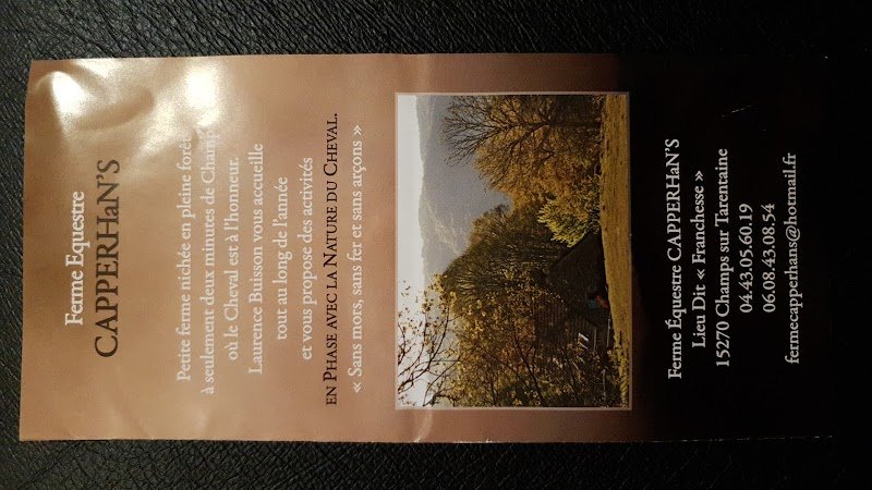 Ferme équestre et relais pour cavalier randonneur CAPPERHaN'S - photo 2