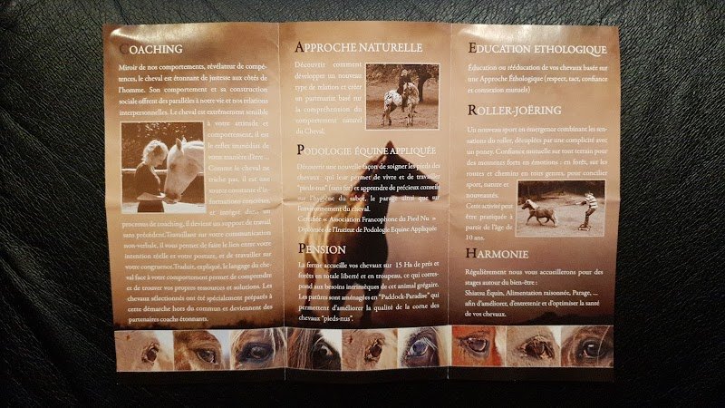 Ferme équestre et relais pour cavalier randonneur CAPPERHaN'S - photo 3