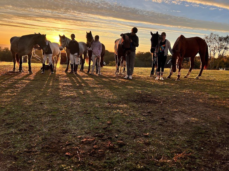 Les Ecuries Du Tilleul - photo 2