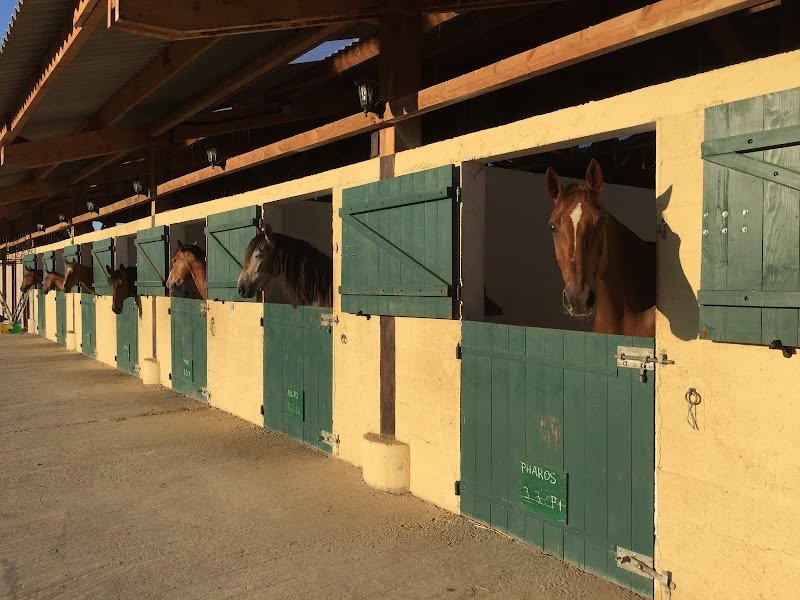 Les Ecuries Du Tilleul - photo 3