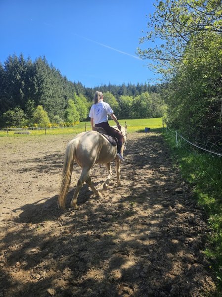 Lestards - Pension & relaie équestres bien être - photo 1