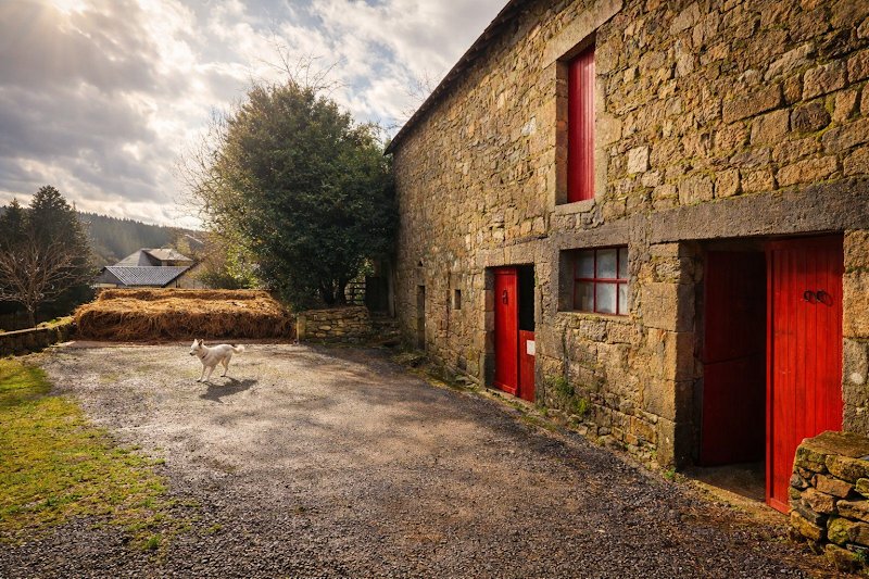 Lestards - Pension & relaie équestres bien être - photo 2