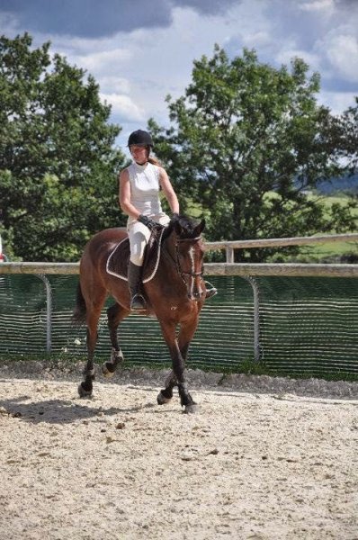 Haras Du Châtelet - photo 2