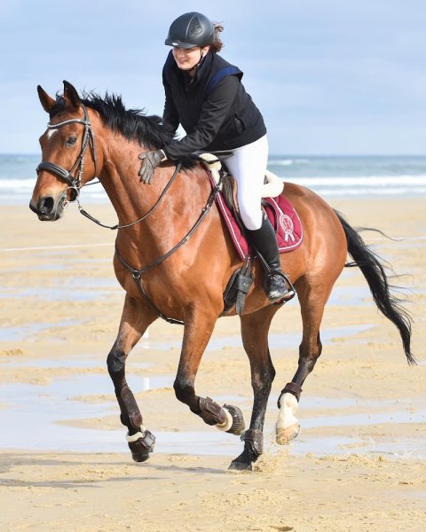 Ecuries de Malebarthe - photo 3