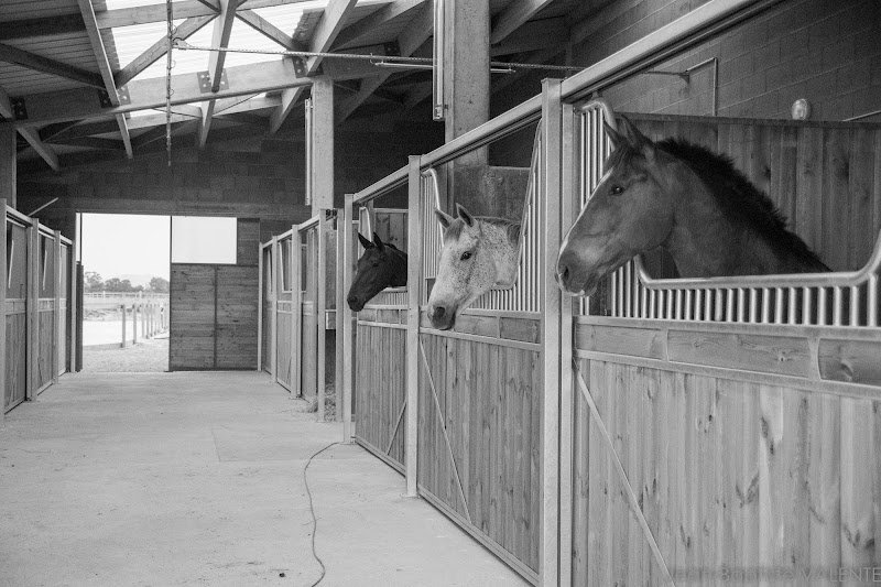 Les écuries de la Limagne - photo 2