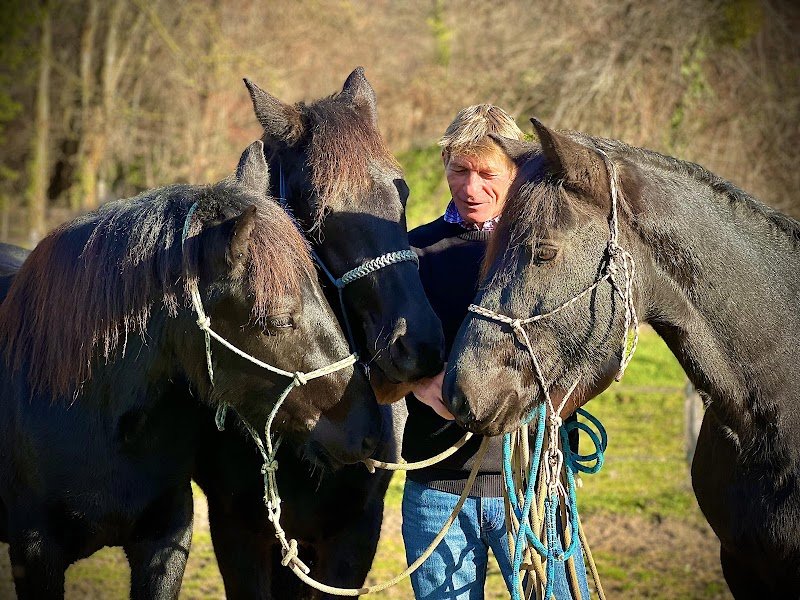 Les écurie de gailhaguet
