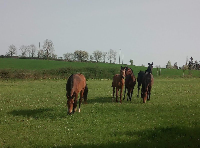 Les écuries d'yci - photo 2