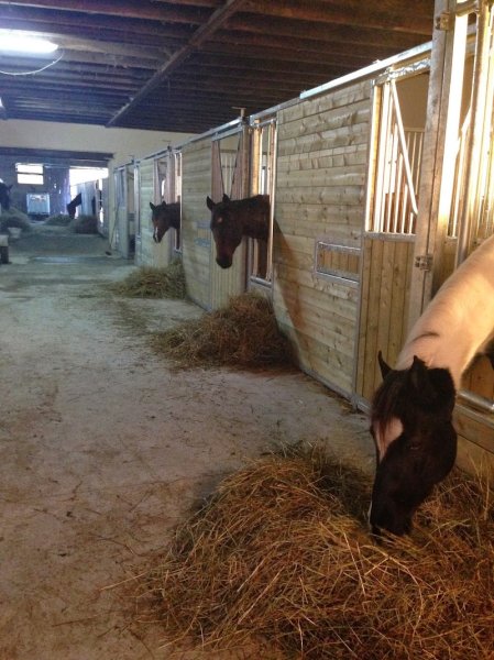 Ferme équestre de Gary - photo 3