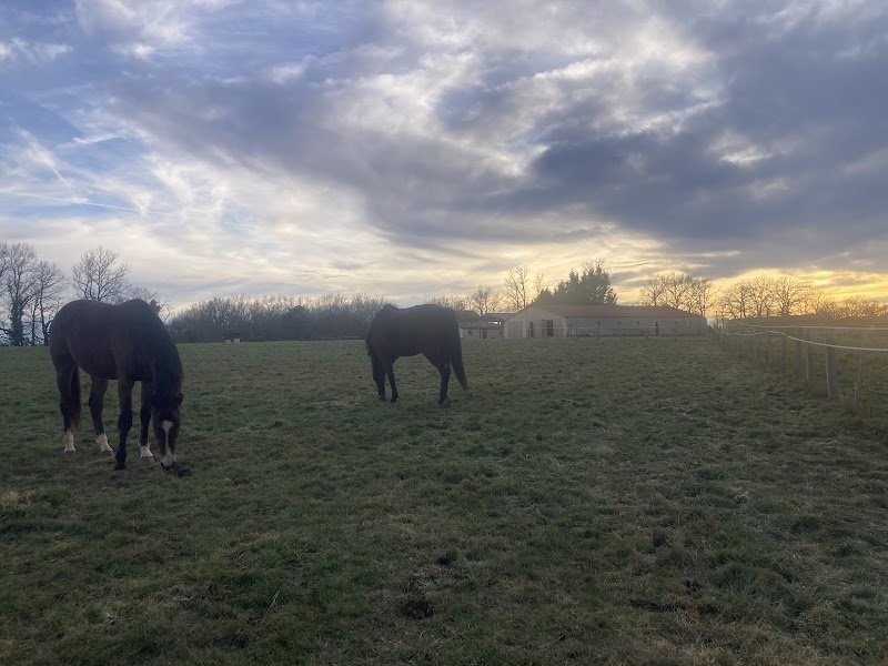 Les Ecuries de Lartillou