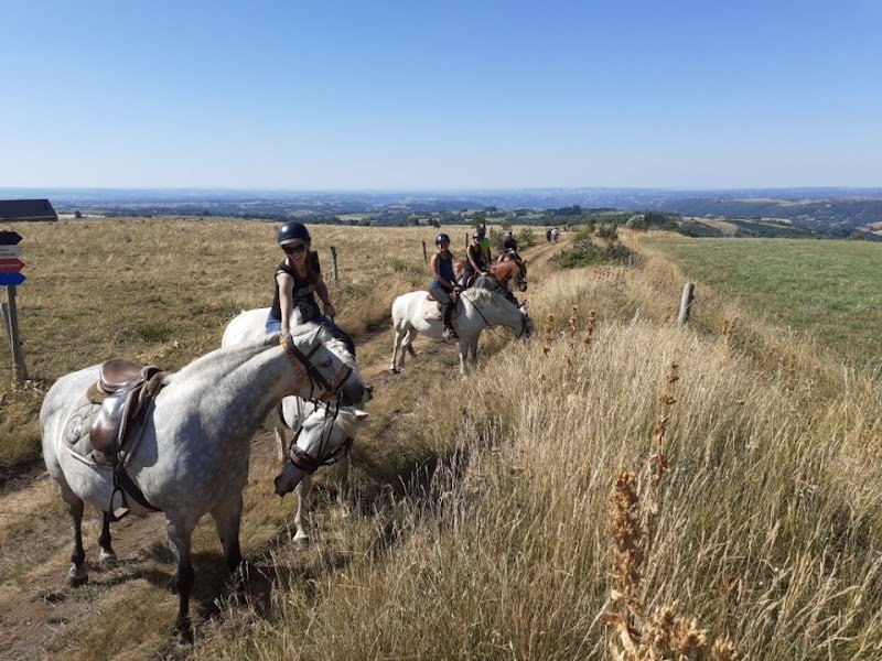 la ferme équestre des burons - photo 3