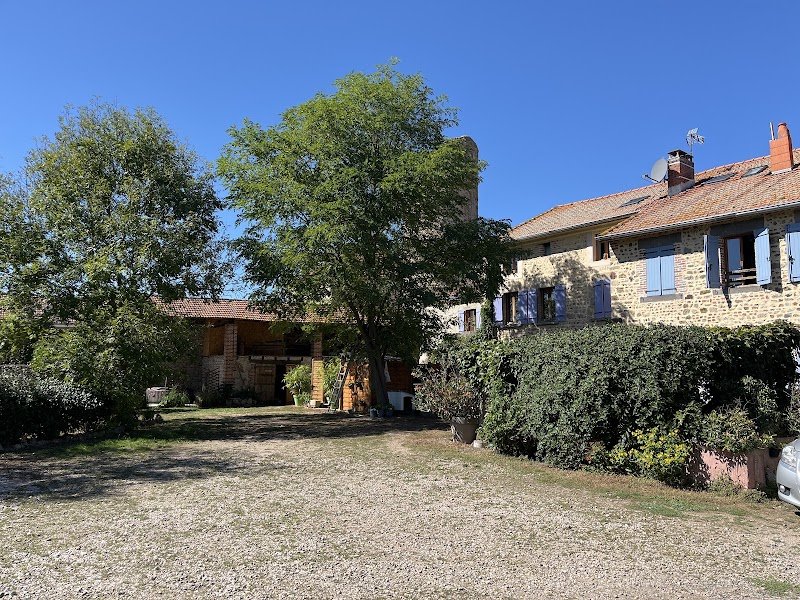 Earl Ferme Equestre Du Gray