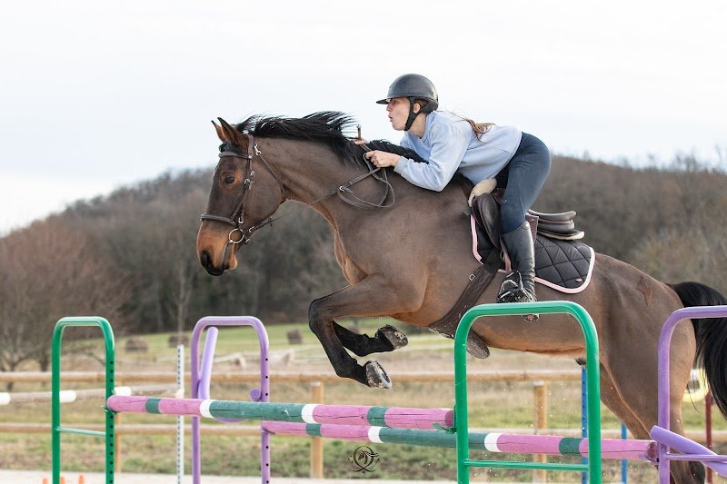 Ecurie d'Ozabelle - photo 3