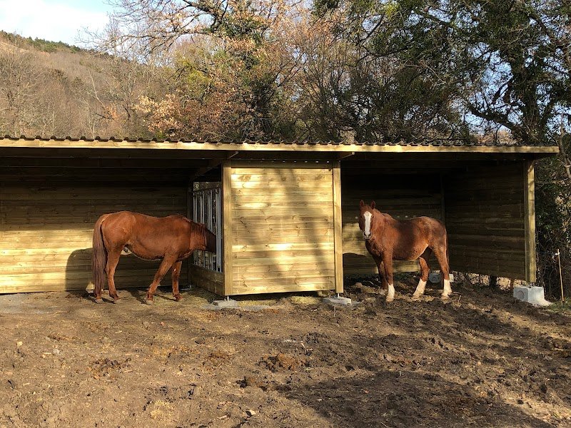 Ecurie au rythme des saisons - photo 1