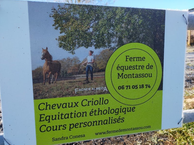 Ferme équestre de Montassou - photo 2