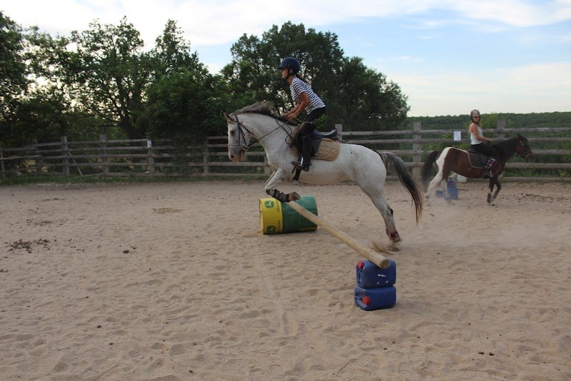 Ferme Equestre du Mas de Laval (balade à cheval/Fromages de chèvre Bio) - photo 2