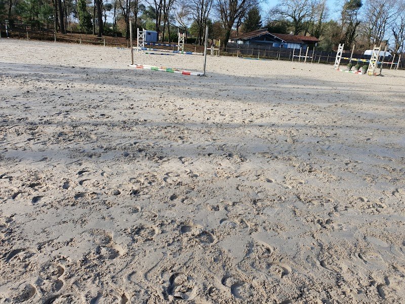 Écuries Antoine Le Pape - photo 2