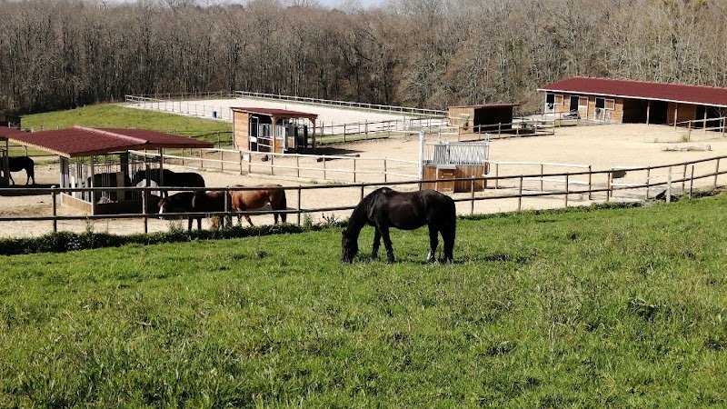 L'Ecurie Active du Puyos - photo 1